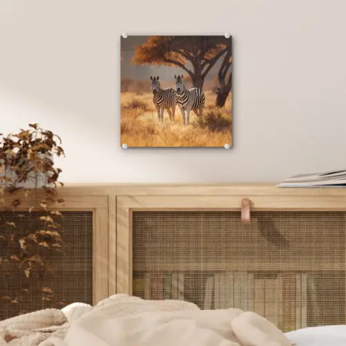 Zebra's - Savannelandschap - Gras plexiglas 5mm klein -sfeer4