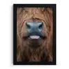Schotse hooglander - Neus - Bruin fotolijst zwart zonder passe partout klein -3d