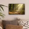 Zonlicht - Bospad - Bomen canvas 2cm klein -sfeer1
