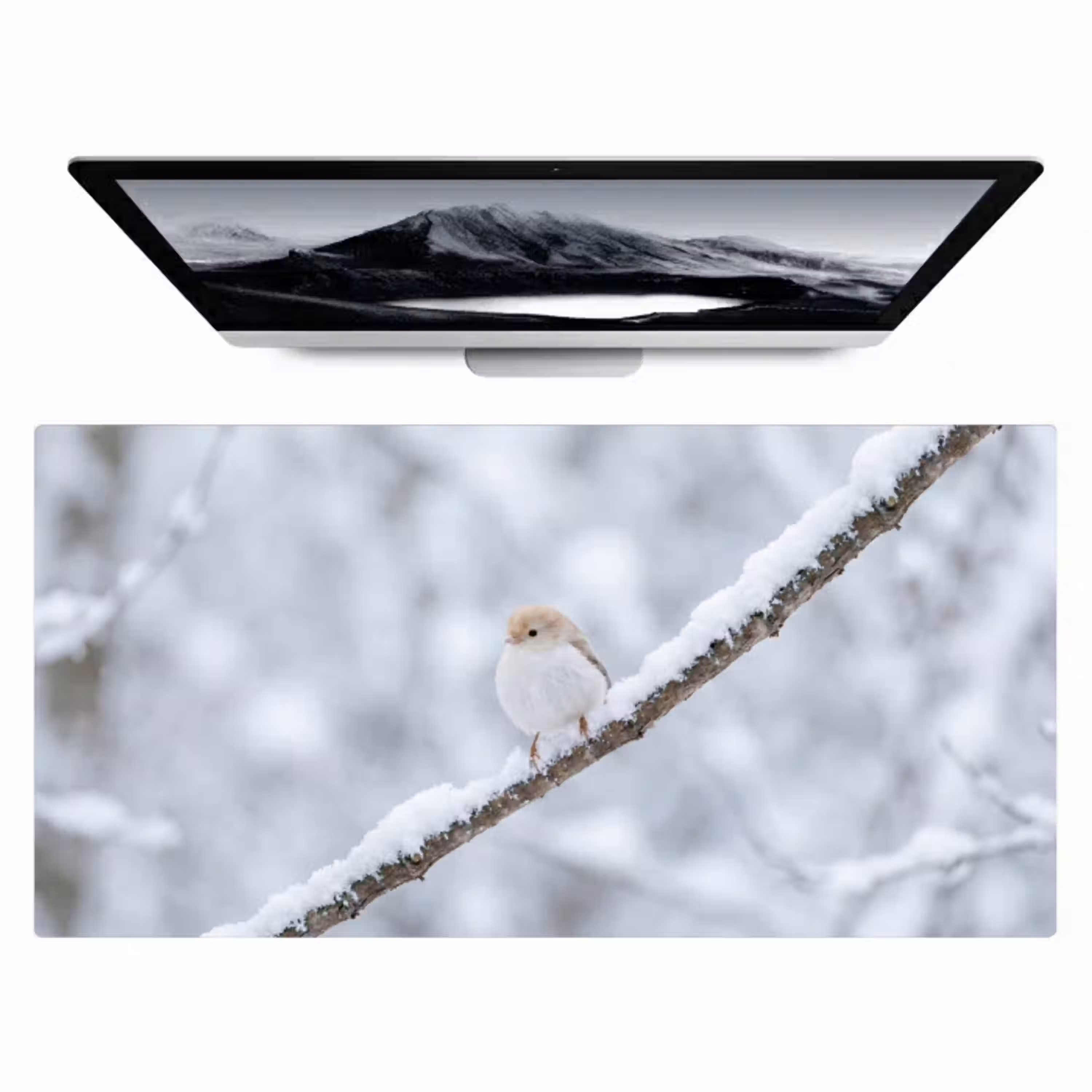 Vogeltje - Sneeuw - Tak - Winter - Zacht Muismat XXL klein -zzz3d