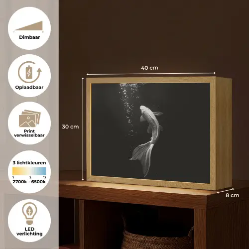 Koi - Vis - Wit - Zwart Light Box met batterij (Wandlamp) middel -USP_websiteoverzichtNL