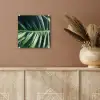 Bladeren - Tropisch - Jungle plexiglas 5mm klein -sfeer5