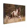 Paard - Bruin - Gras canvas 2cm klein -z3d