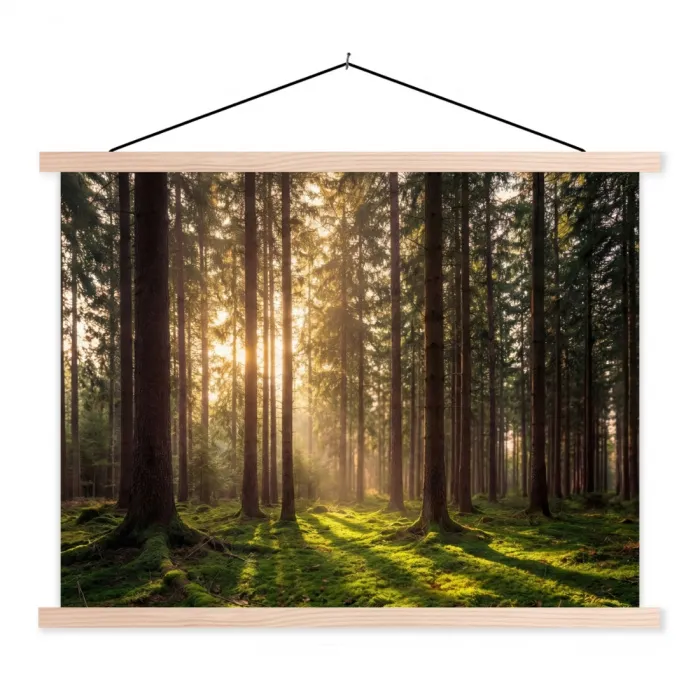 Bos - Gras - Zonlicht textielposter latten blank klein -3d