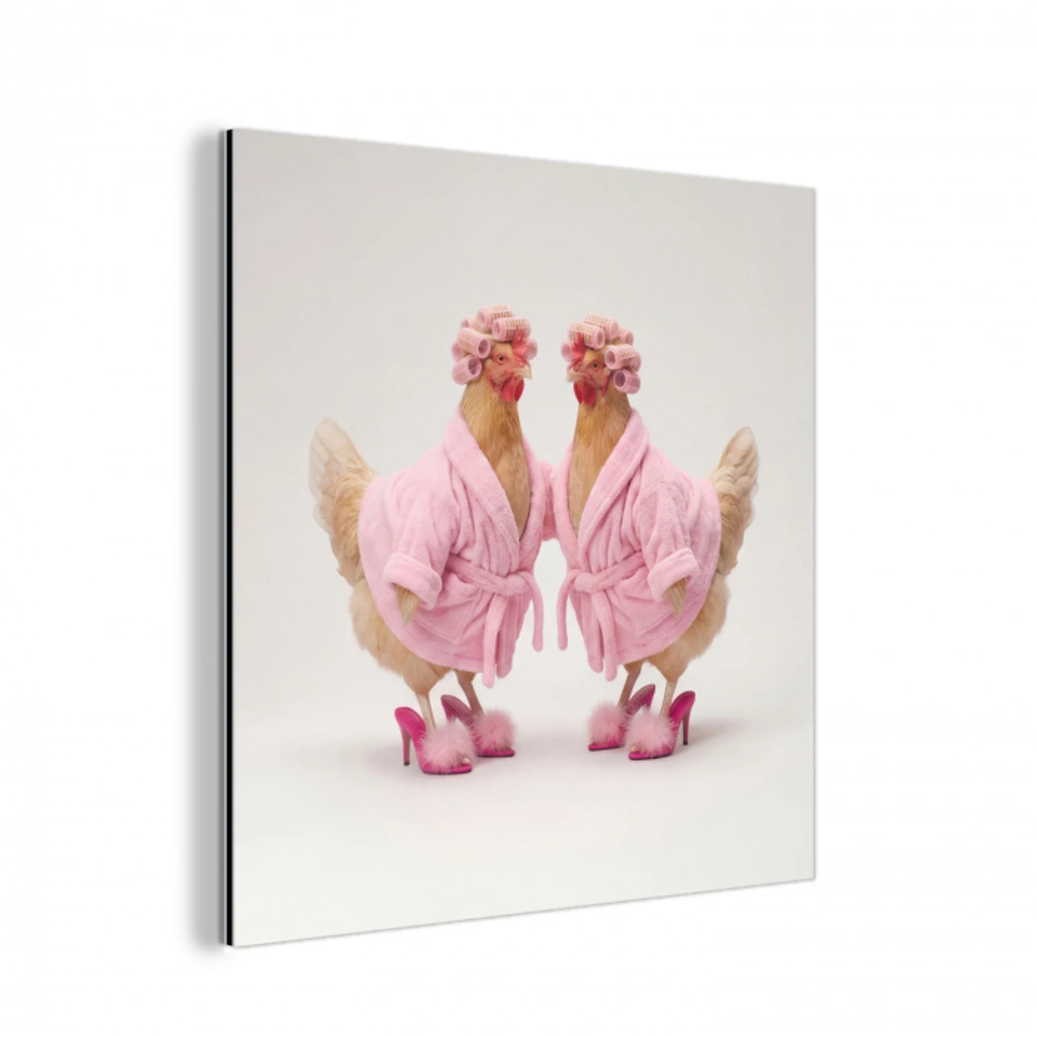 Kippen - Badjas - Krukspelden - Hakken aluminium wit klein -3d