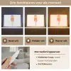 Schepijs - Hoorntje - Illustratie - Minimalistisch Light Box met kabel (Tafellamp) klein -USP_lichtkleurNL