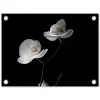 Orchidee - Bloemen - Zwart - Wit - Stilleven tuinposter los doek klein -3d