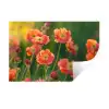 Bloemenveld - Zonnestralen - Oranje Muursticker klein -3d
