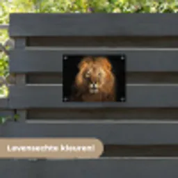 Leeuw - Dieren - Zwart - Licht - Bruin - Portret tuinposter los doek klein -sfeer3
