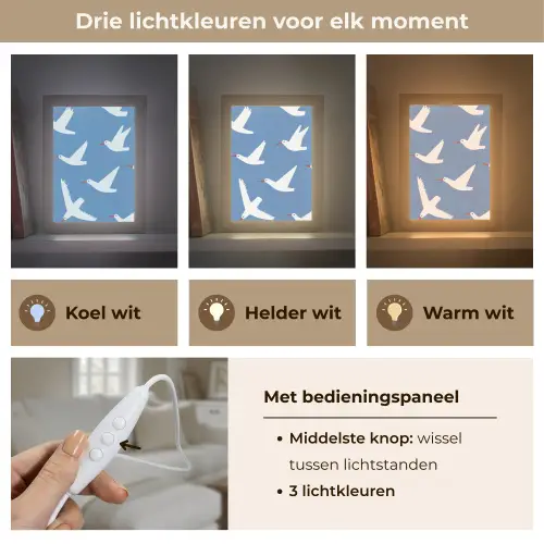 Vogels - Wit - Patroon Light Box met kabel (Tafellamp) klein -USP_lichtkleurNL