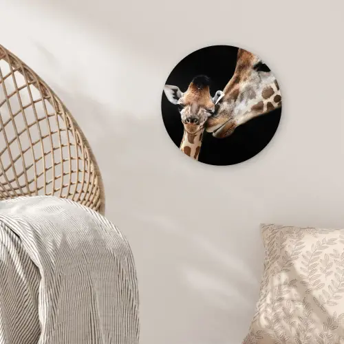 Giraffe - Dieren - Zwart - Portret - Dieren Wandcirkel kunststof plaat 5mm dik klein -sfeer5