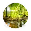 Bos - Landschap - Water - Bomen - Zon Wandcirkel aluminium klein -3d