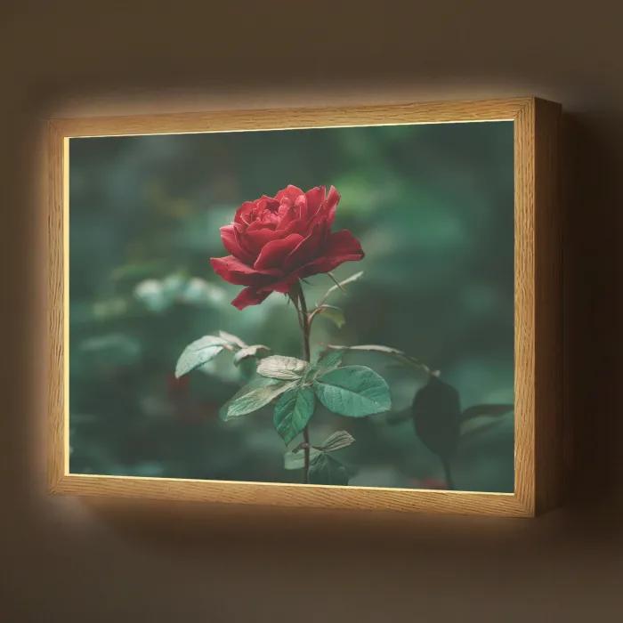 Roos - Bladeren - Dieprood Light Box met batterij (Wandlamp) middel -z3d_website