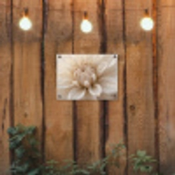 Bloem - Dahlia - Wit tuinposter los doek klein -sfeer1