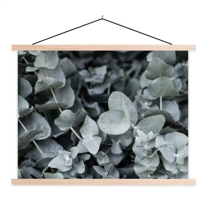 Close-up van eucalyptusplanten uit de natuur textielposter latten blank klein -3d