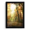 Bos - Herfst - Zon - Landschap - Natuur - Bomen - Bladeren fotolijst zwart zonder passe partout klein -3d