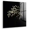 Gipskruid - Bloemetjes - Wit - Minimalistisch plexiglas 5mm klein -zzzproduct_nieuw