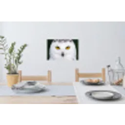 Sneeuwuil - Portret - Geel Muursticker klein -eettafel