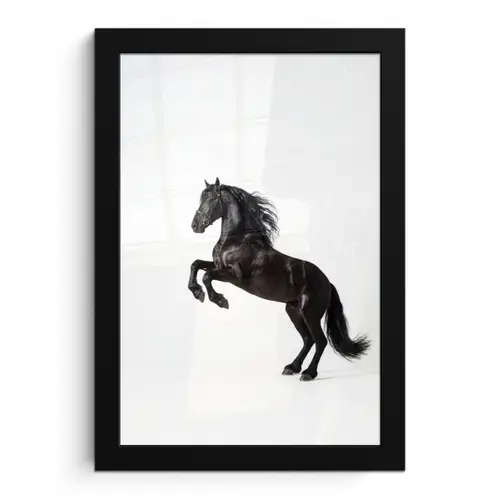 Zwart - Paard - Portret fotolijst zwart zonder passe partout klein -3d