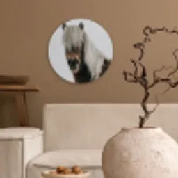 Paarden - Dieren - Portret - Bruin - Wit Wandcirkel kunststof plaat 5mm dik klein -sfeer1