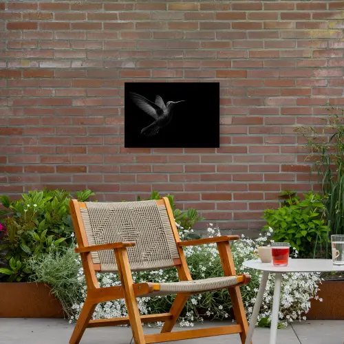 Kolibrie - Zwart - Dieren Tuinposter op houten frame 2 cm dik klein -sfeer3