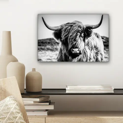 Schotse hooglander - Natuur - Koe - Zwart - Wit canvas 2cm klein -sfeer6