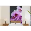 Orchidee - Bloemen - Roze - Flora fotobehang vinyl groot -bed