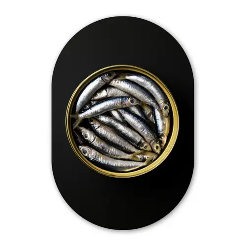 Sardines - Vissen - Rond - Zwart Wandcirkel Ovaal Glas middel -3d