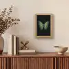 Vlinder - Groen - Diepte Light Box met kabel (Tafellamp) klein -sfeer2
