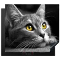 Blik van Goud Inductie beschermer vinyl 3mm middel -3d