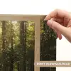 Bomen - Bos - Mos - Planten - Zon - Natuur Light Box met batterij (Wandlamp) middel -USP_websiteprintNL