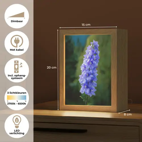 Bloemen - Blauw - Dennenboom Light Box met kabel (Tafellamp) klein -USP_NL