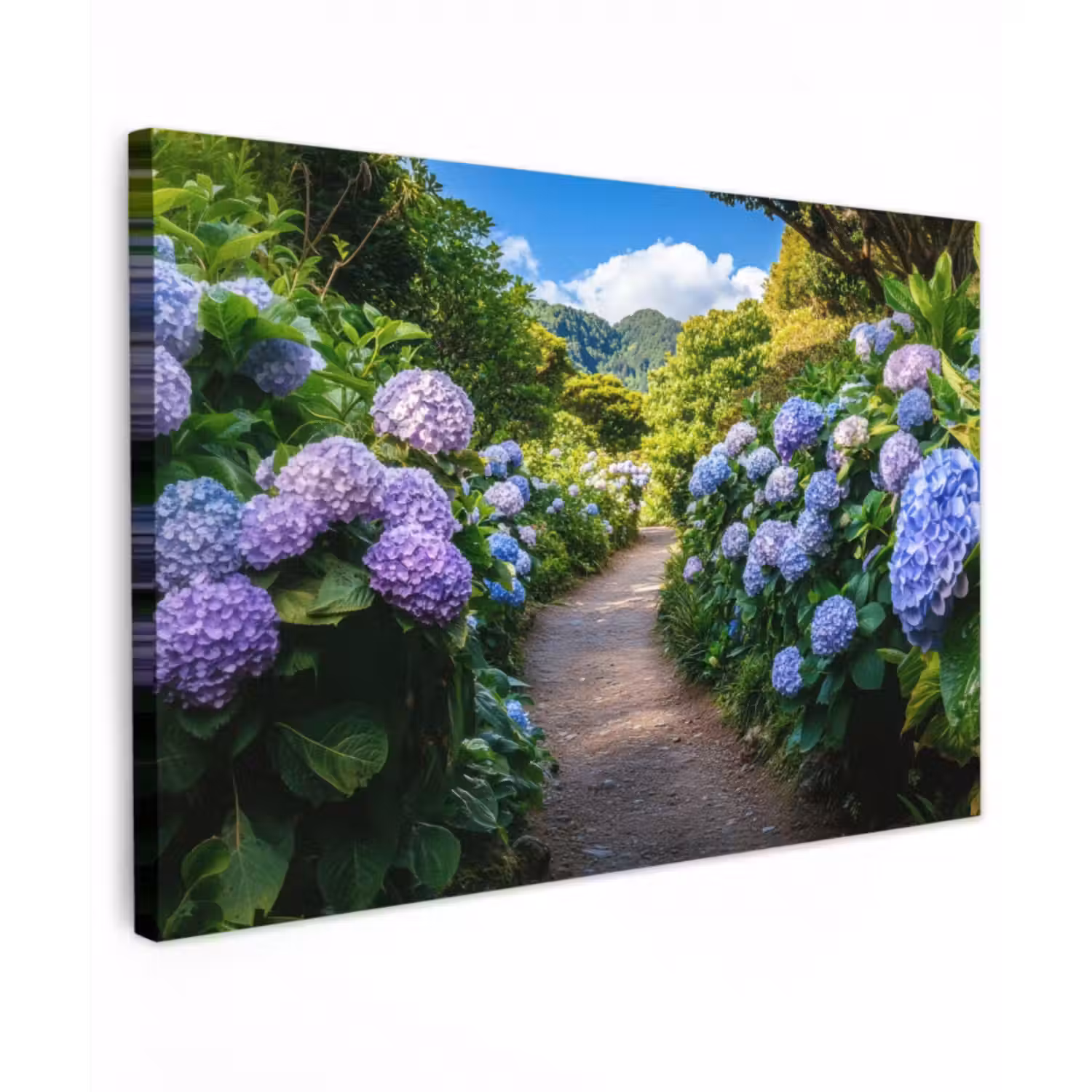 Outdoor Leinwand - Hortsensia - Kröte - Blumen
