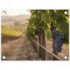 Druiven - Wijngaard - Zonlicht tuinposter los doek klein -3d