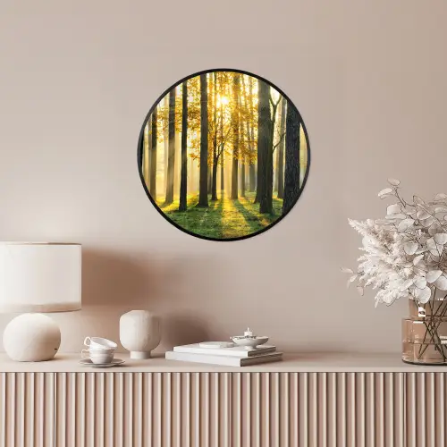 Bos - Zon - Bomen - Gras - Landschap  - Natuur Fotolijst rond zonder passe partout klein -sfeer3