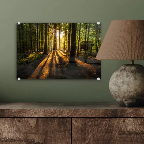 Zon - Bomen - Bos - Landschap - Natuur plexiglas 5mm klein -sfeer3