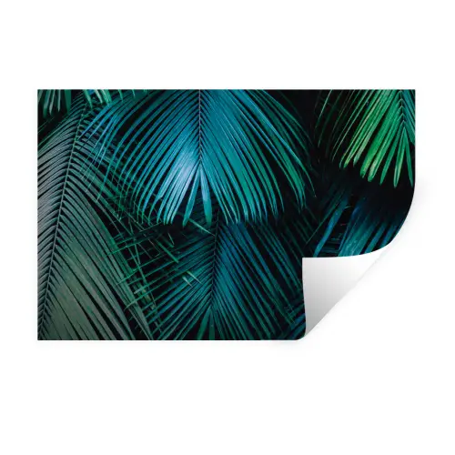 Palmblad - Tropisch - Natuur - Jungle Muursticker klein -3d