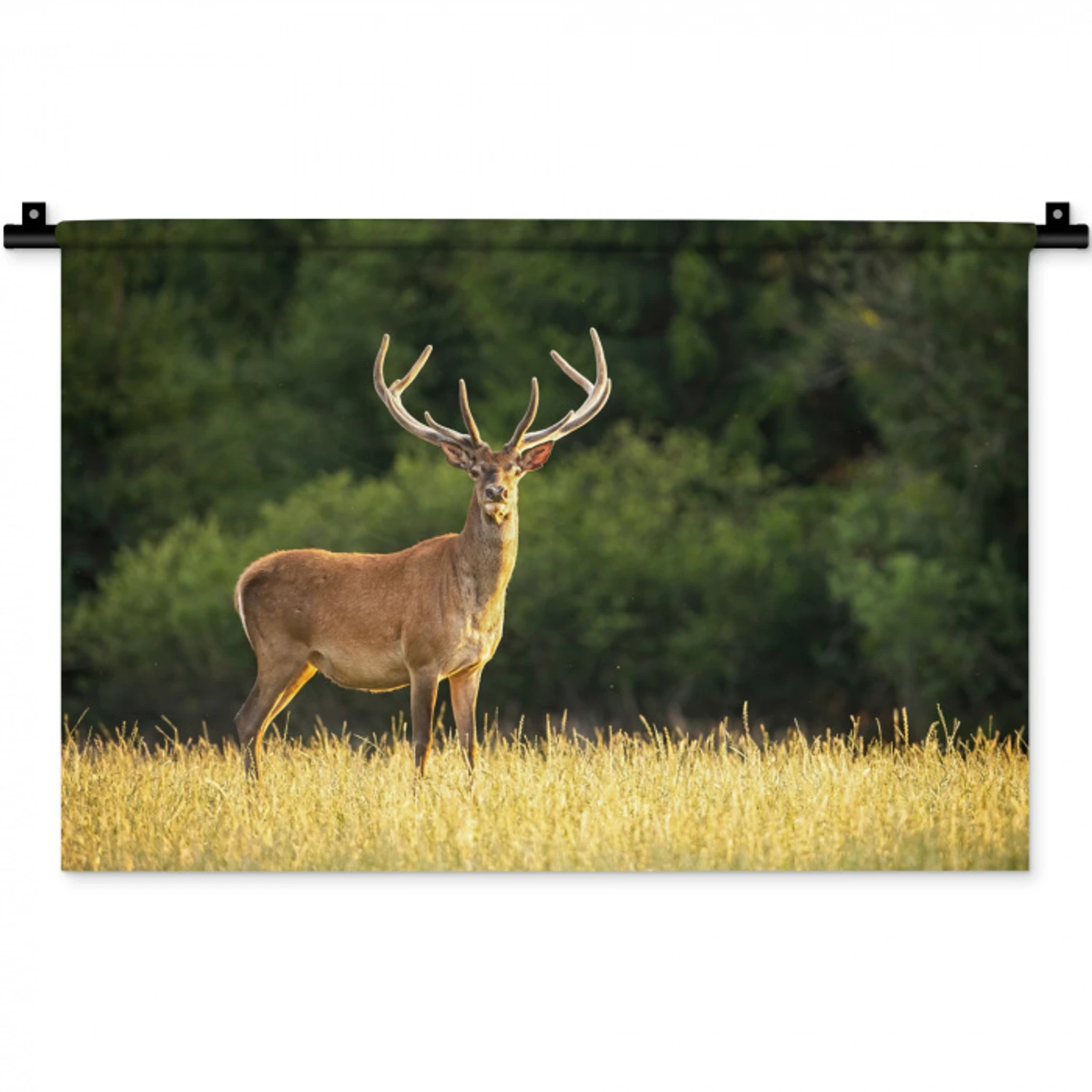 Hert - Gewei - Gras - Natuur - Dieren - Groen Wandkleed katoen klein -zz3d