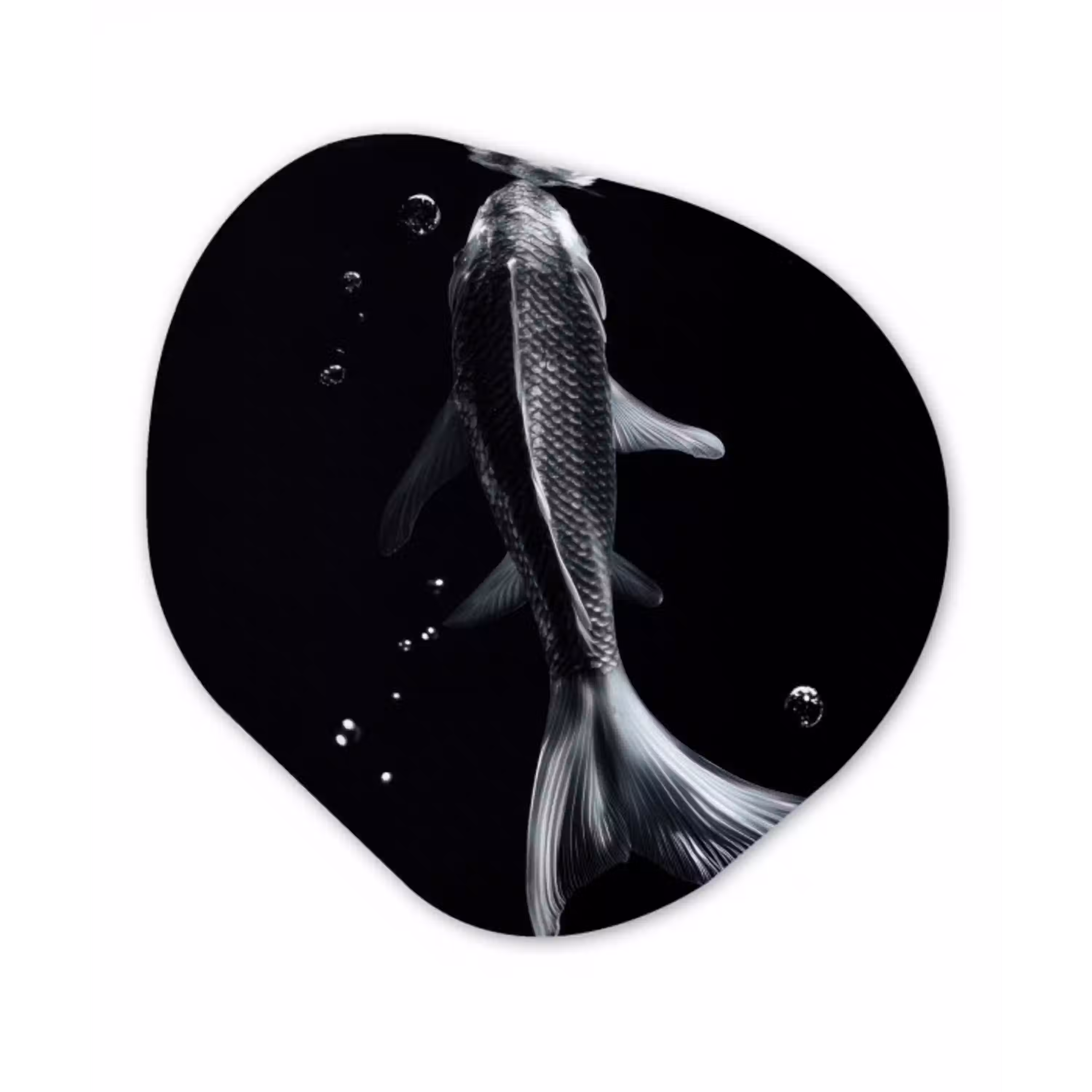 Koi - Vissen - Water - Zwart Wandcirkel Organisch Plexiglas middel -3d