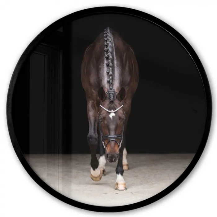 Paard - Modern - Portret Fotolijst rond zonder passe partout klein -3d