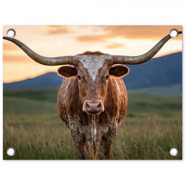 Longhorn - Landschap - Zonsondergang tuinposter los doek klein -3d