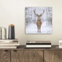 Hert - Winter - Bos - Natuur - Wit plexiglas 5mm klein -sfeer1