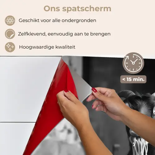Geit - Bord - Spaghetti - Zwart Wit keuken achterwand spatscherm klein -spatscherm_NL