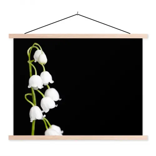 Lelietjes van dalen - Bloemen - Zwart - Flora textielposter latten blank klein -3d