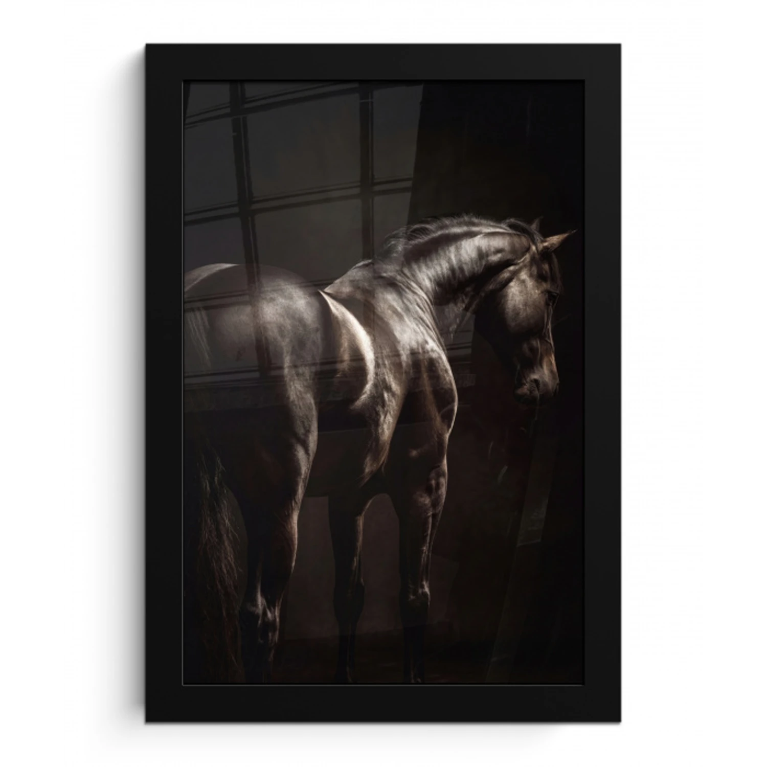 Krachtig - Paard - Donker fotolijst zwart zonder passe partout klein -3d