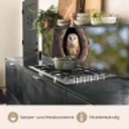 Kerkuil - Boom - Natuur - Bruin keuken achterwand 2 middel -usp_DE