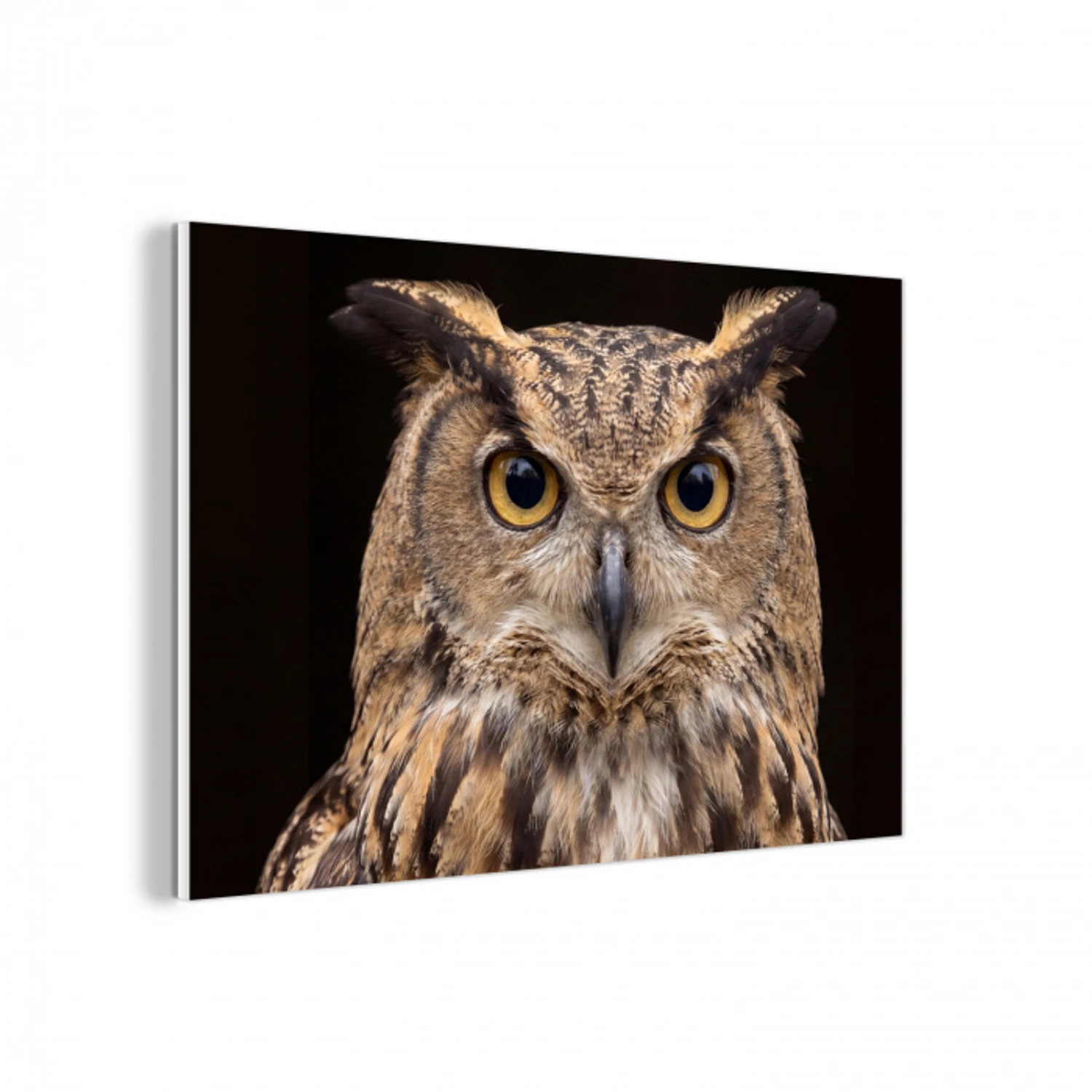 Oehoe - Uil - Portret - Bruin forex 5mm xxl -3d