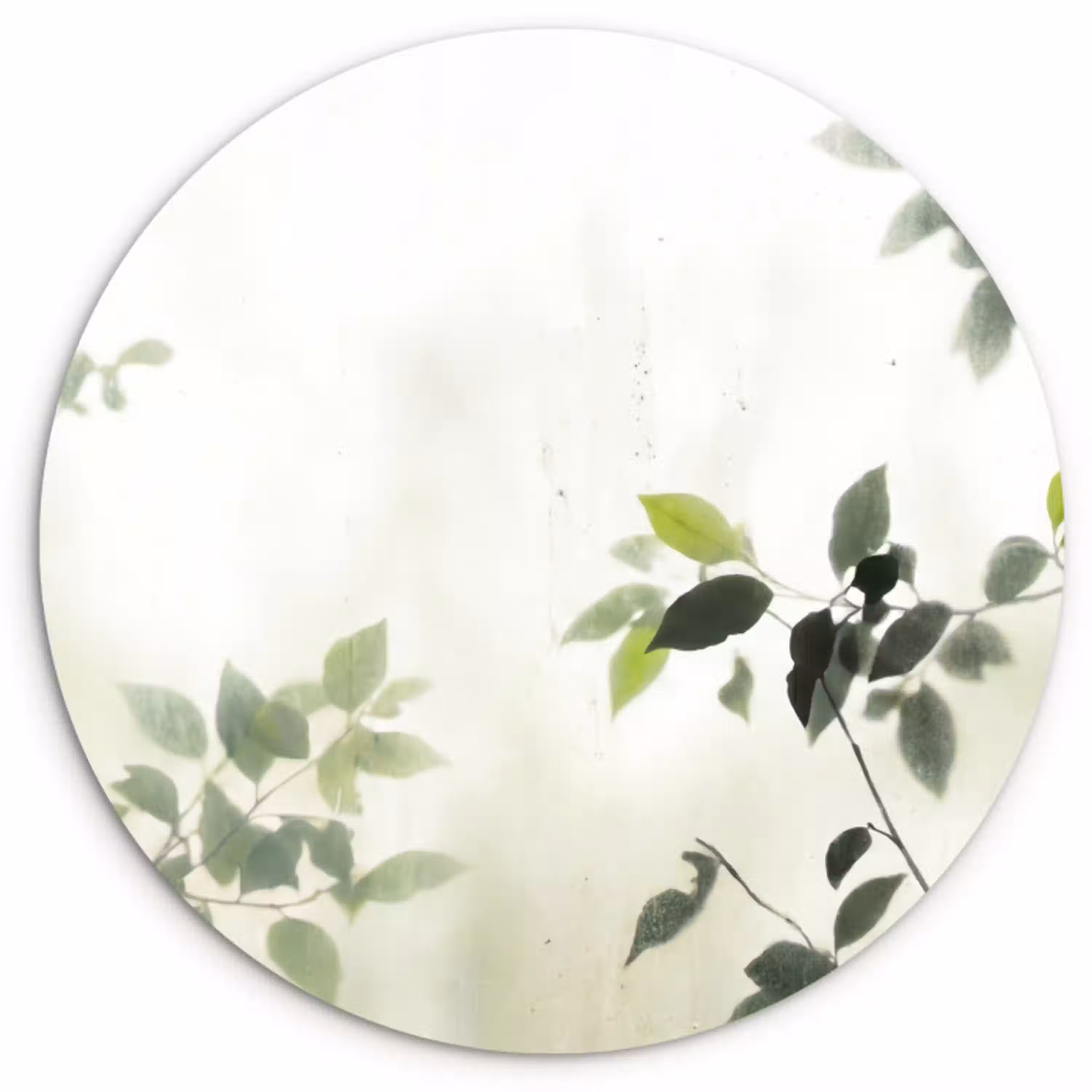 Blad - Schaduw - Natuur - Abstract - Groen Wandcirkel kunststof plaat 5mm dik klein -3d