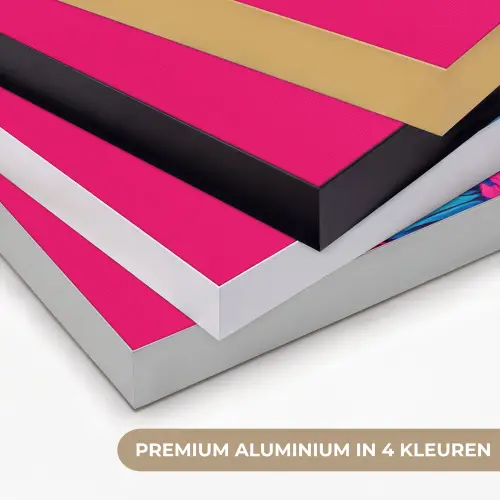 Haan - Kleurrijk - Kimono - Roze Textielframe zwart klein -USP_kleurenNL