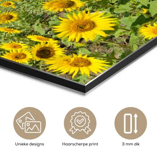 Zonnebloemen - Bloemen - Wolken - Natuur - Geel - Landschap aluminium wit klein -closeup_NL
